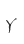 Y