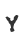 Y