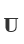 U