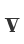 V