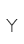 Y