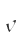 v