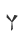 Y