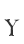 Y