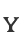 Y