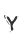 Y
