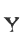 Y