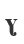 Y