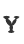 Y