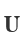 U