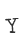 Y