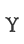 Y