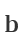 b