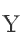 Y