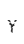 Y