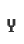 Y