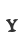 Y
