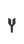 Y