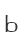 b