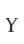 Y