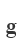 g