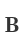 B