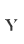 Y