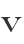 V