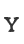 Y