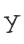 Y