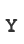Y