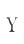 Y