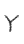 Y