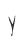 Y