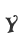 Y