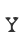 Y