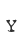 Y
