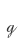 g