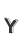 Y