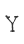 Y