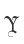 Y