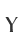 Y