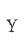 Y