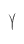 Y