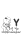 Y