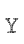 Y
