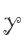 Y