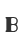 B