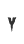 Y
