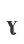Y